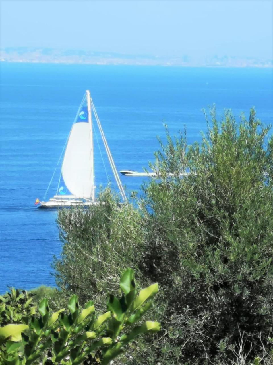 Villa Rosmary - Sorrento Coast - Gulf Of Naples View Exterior foto